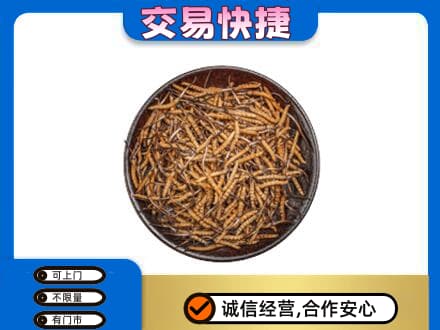 北海礼品回收虫草.jpg