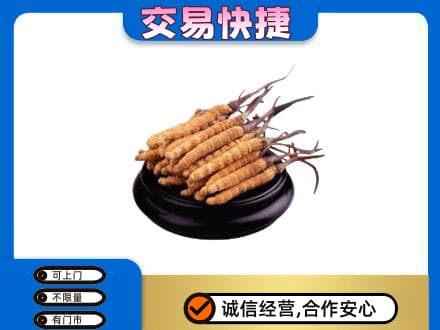 北海礼品回收散虫草.jpg